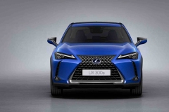 2020-lexus-ux-300e
